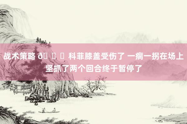 战术策略 😐科菲膝盖受伤了 一瘸一拐在场上坚抓了两个回合终于暂停了