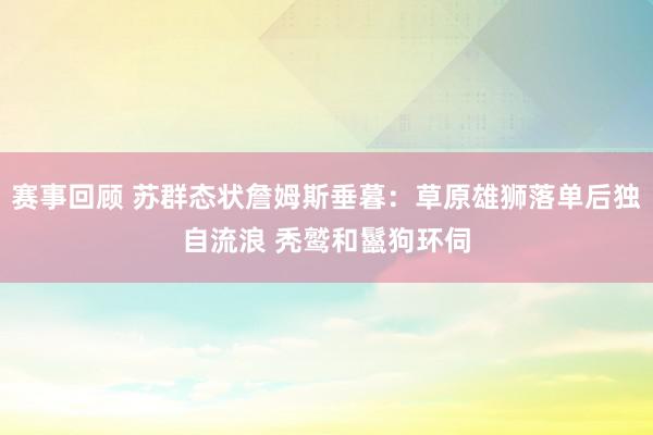 赛事回顾 苏群态状詹姆斯垂暮：草原雄狮落单后独自流浪 秃鹫和鬣狗环伺